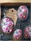 Комплект Пионы 3 10042